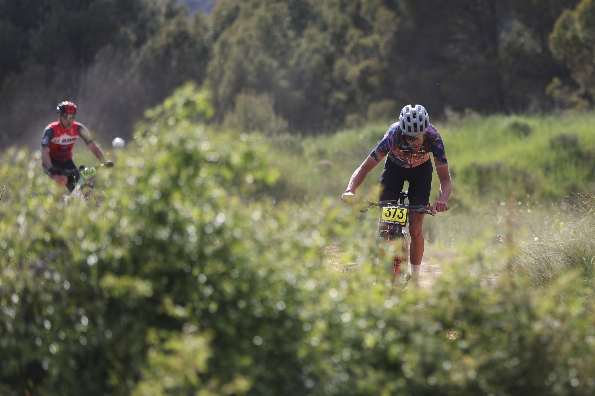 Las imágenes de La Rioja Bike Race