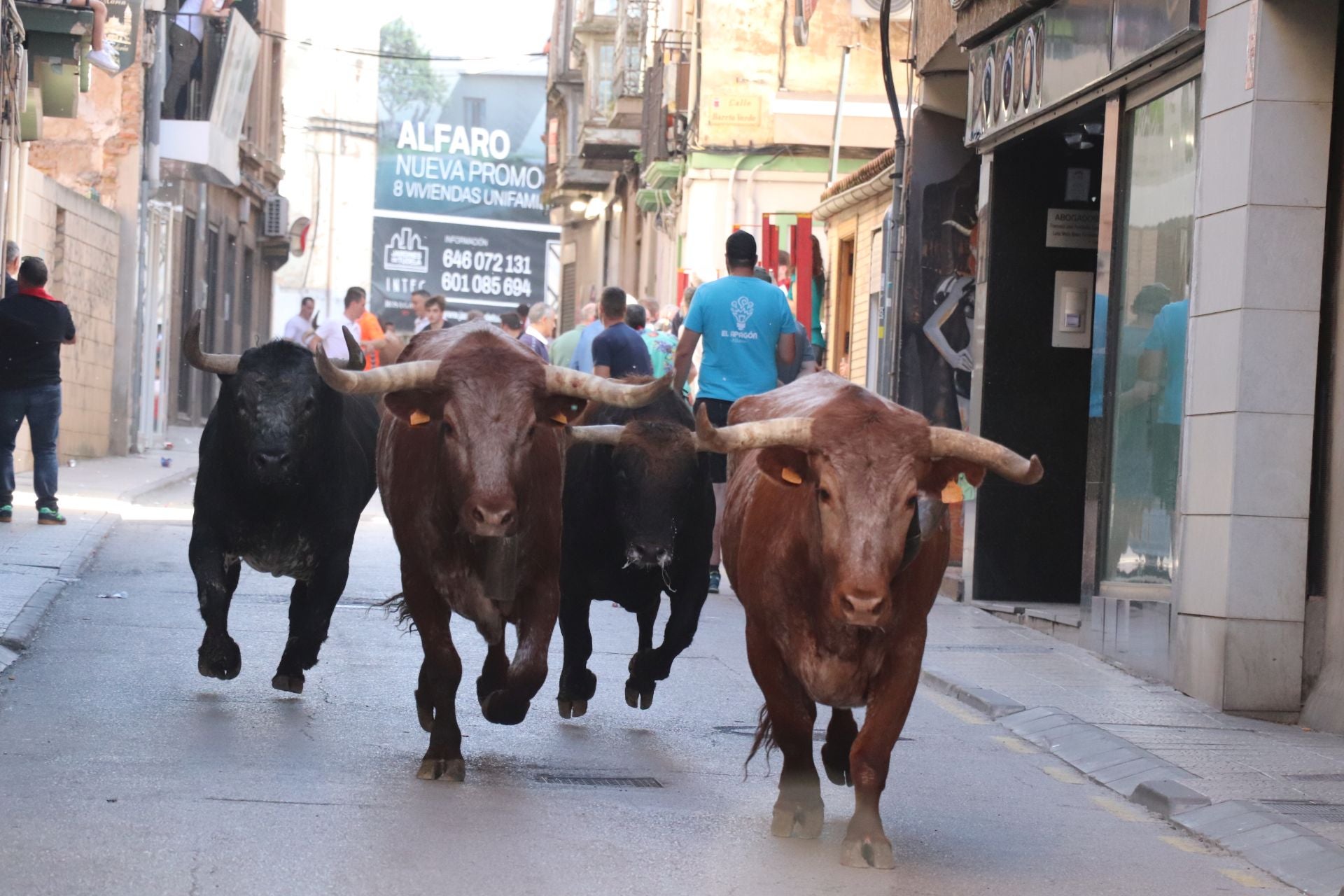 Los alfareños exprimen sus Fiestas de la Primavera