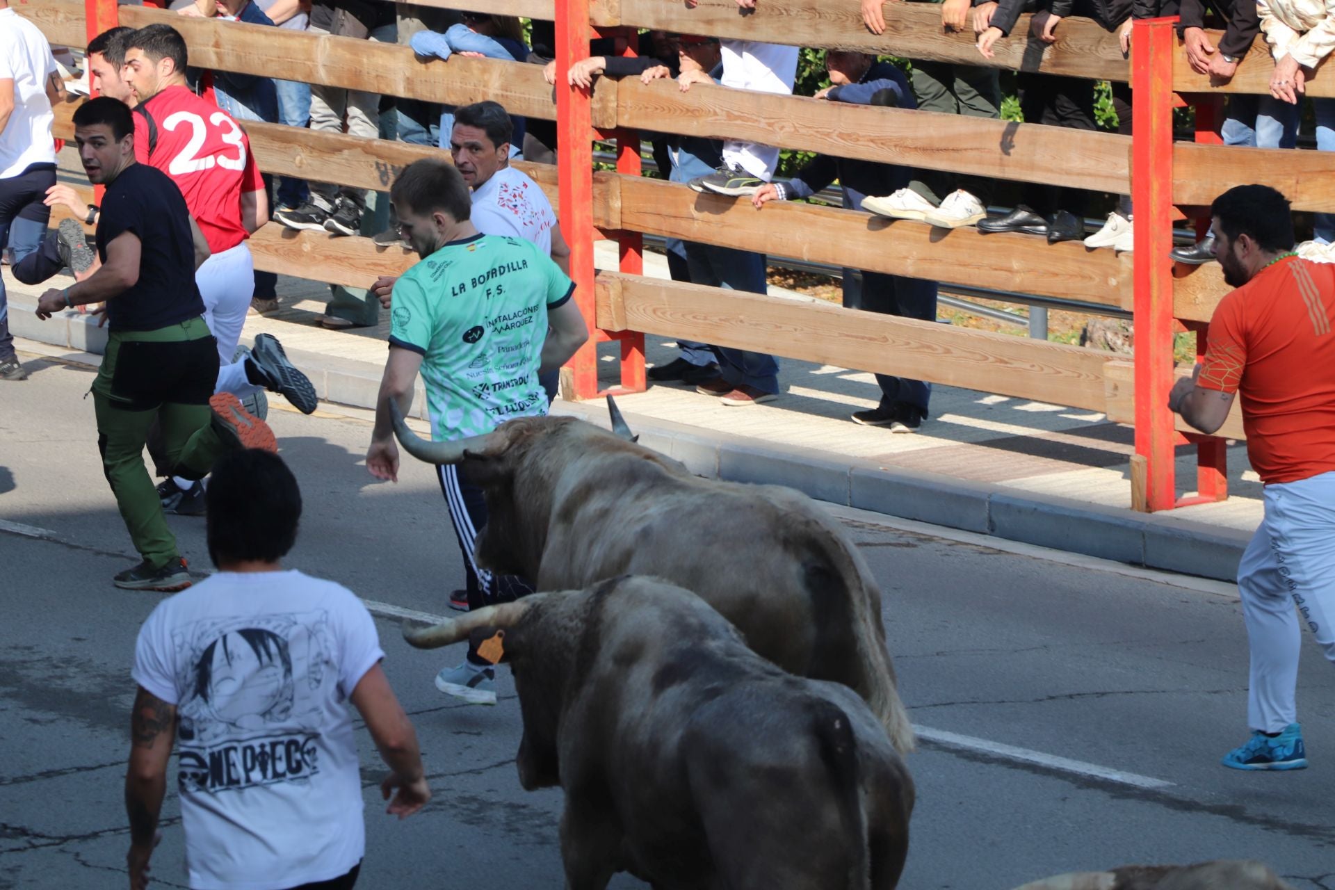 Las fiestas de San Isidro en Alfaro llegan a su fin