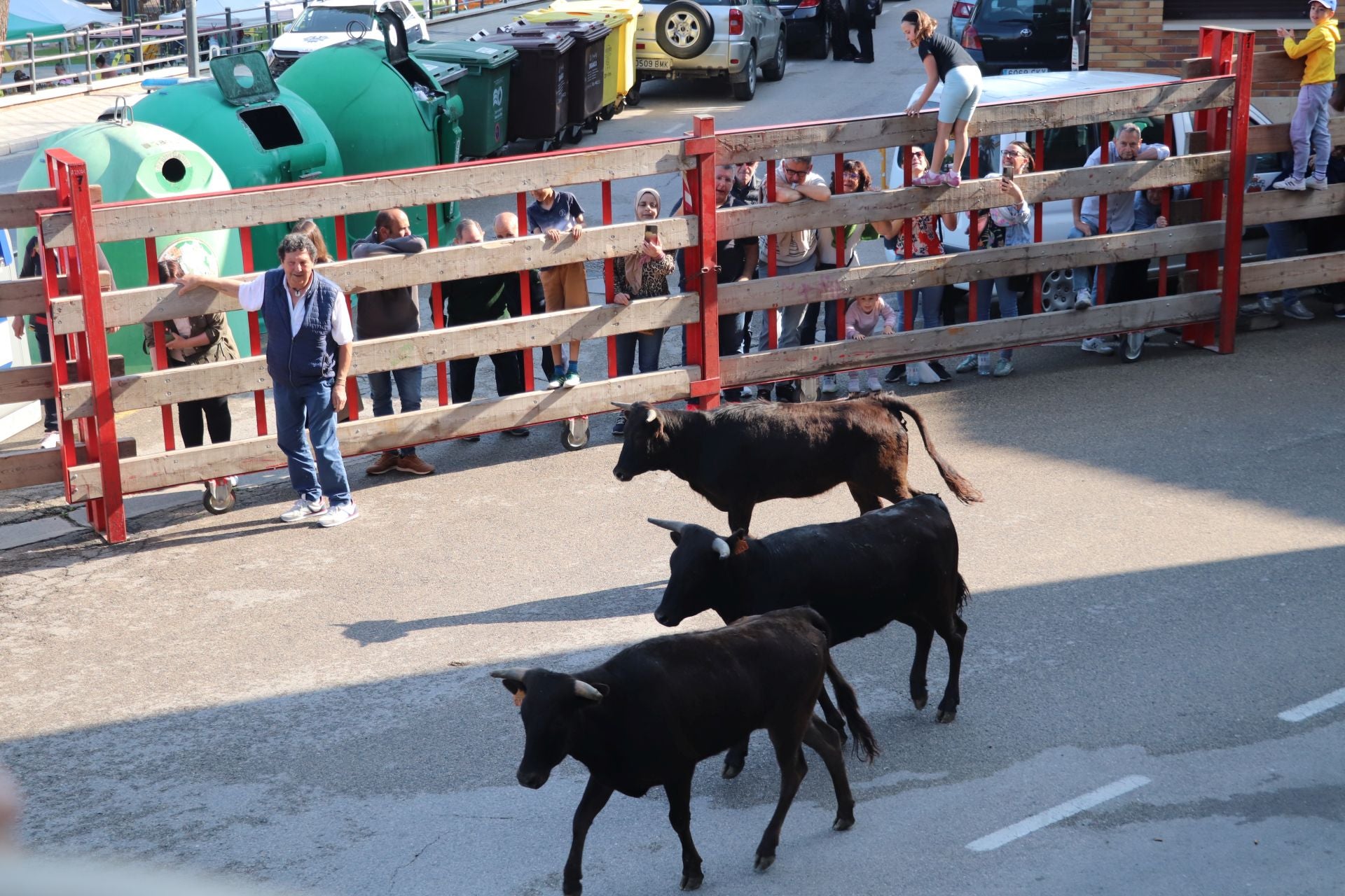 Las fiestas de San Isidro en Alfaro llegan a su fin