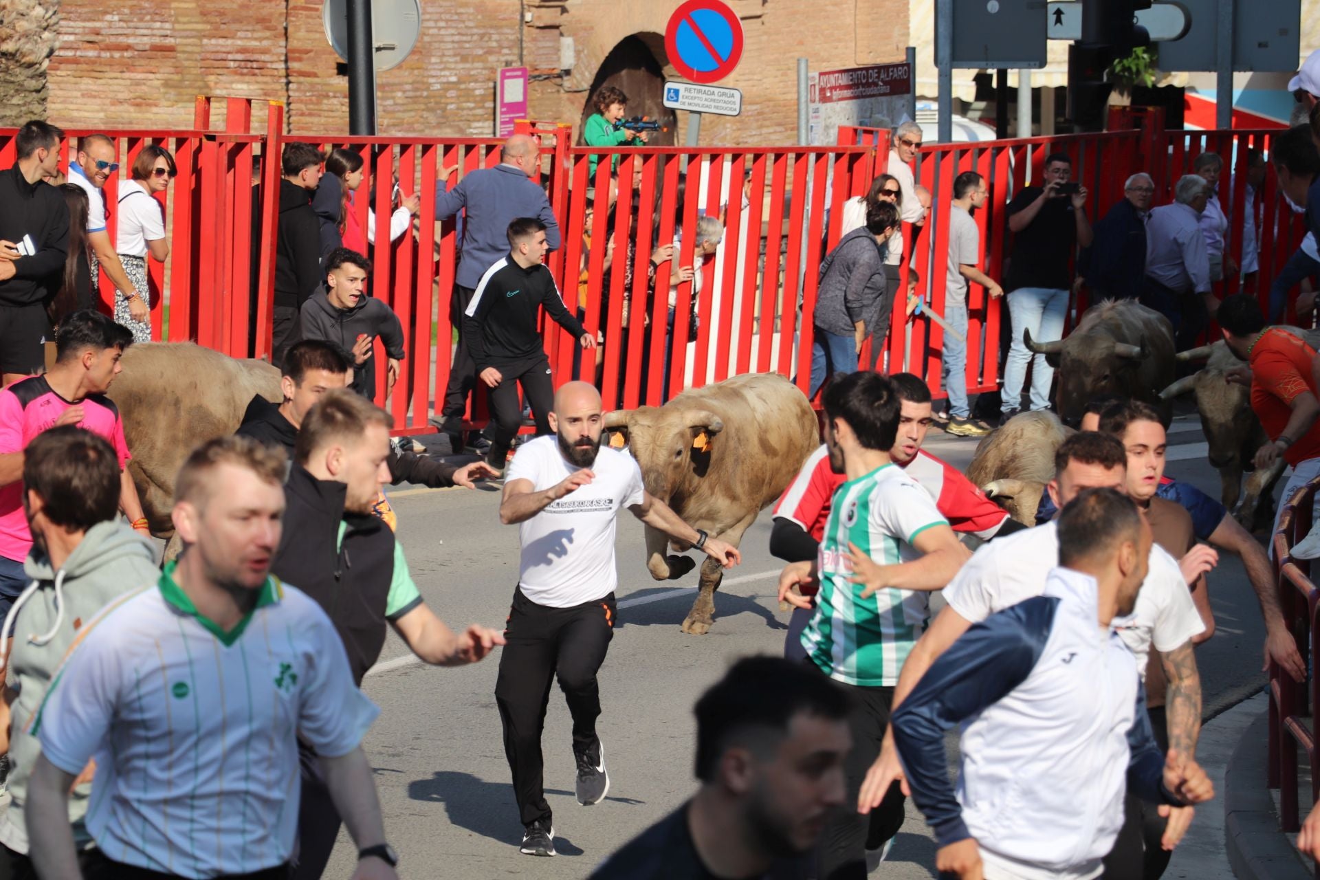 Las fiestas de San Isidro en Alfaro llegan a su fin