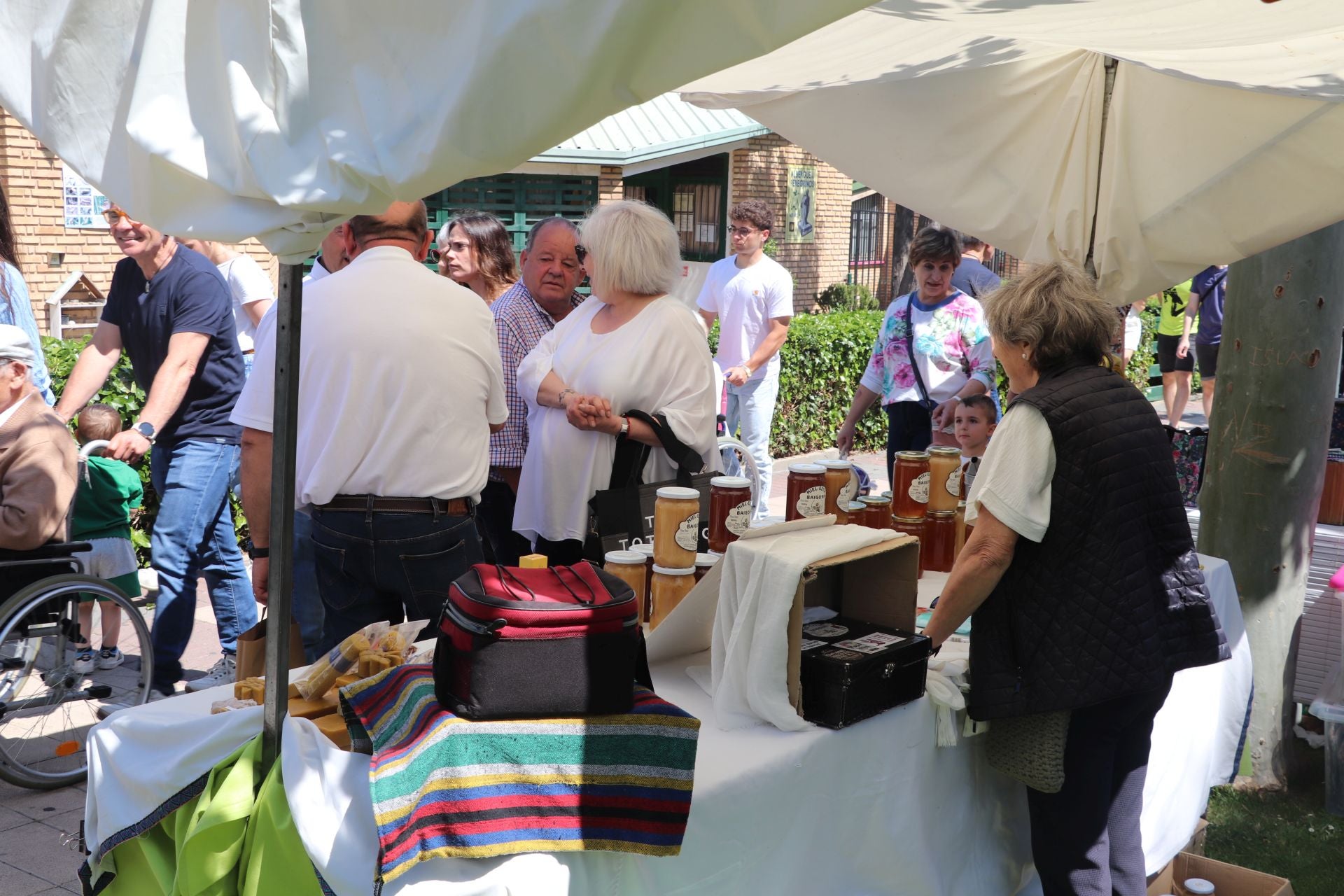 Las fiestas de San Isidro en Alfaro llegan a su fin