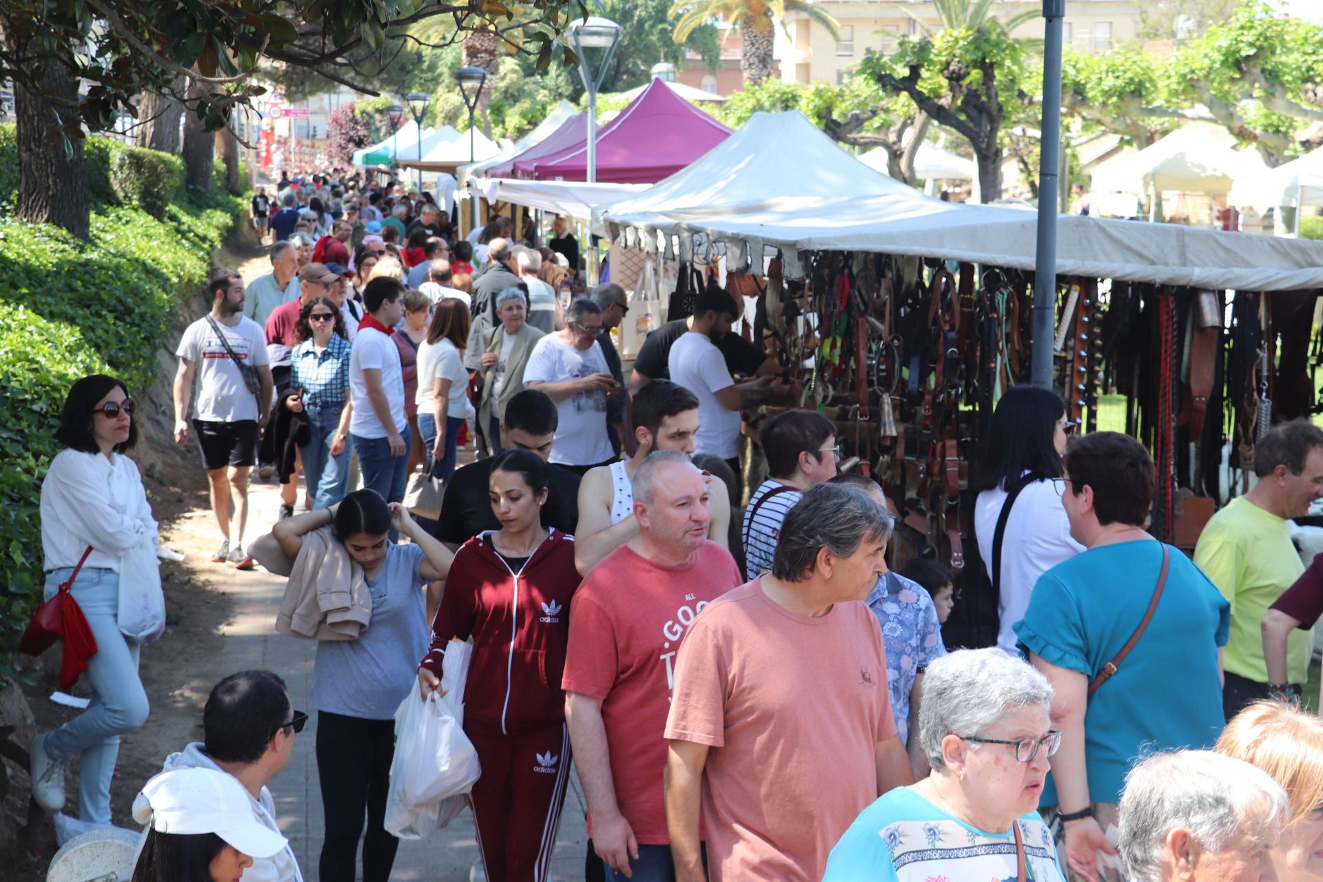 Las fiestas de San Isidro en Alfaro llegan a su fin