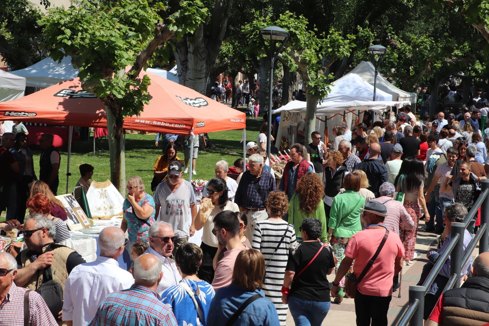 Las fiestas de San Isidro en Alfaro llegan a su fin
