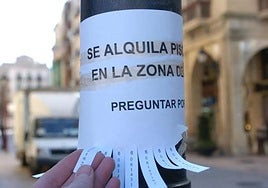 Cartel instalado por un particular en una farola de la calle Portales de Logroño sobre un piso de alquiler.