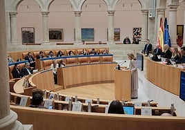 IU pide al Parlamento la prohibición del acceso de menores a espectáculos taurinos