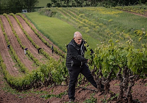 El viticultor Óscar Bobadilla,con la espergura en Baños deRío Tobía.
