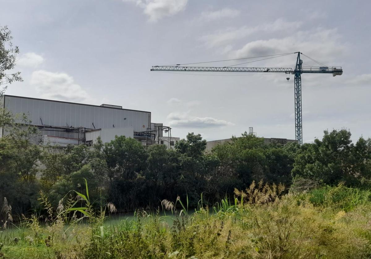 Empresa de Andosilla donde se ha producido el accidente laboral.