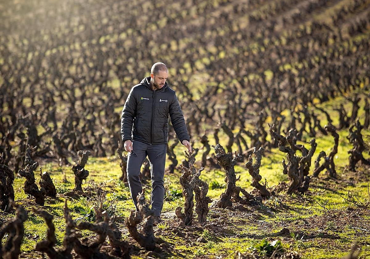Eduardo Pérez, presidente de Asaja.