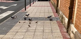 El Teléfono del Lector de hoy