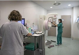 La oferta en el Seris es de 274 puestos de trabajo.