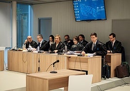 Acusaciones y defensa, en una de las sesiones del juicio por el atropello en Haro