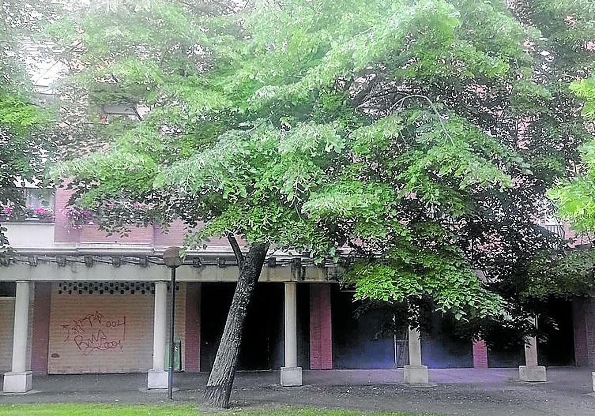 Un árbol inclinado en el parque de Santa Juliana, hoy en La Guindilla.