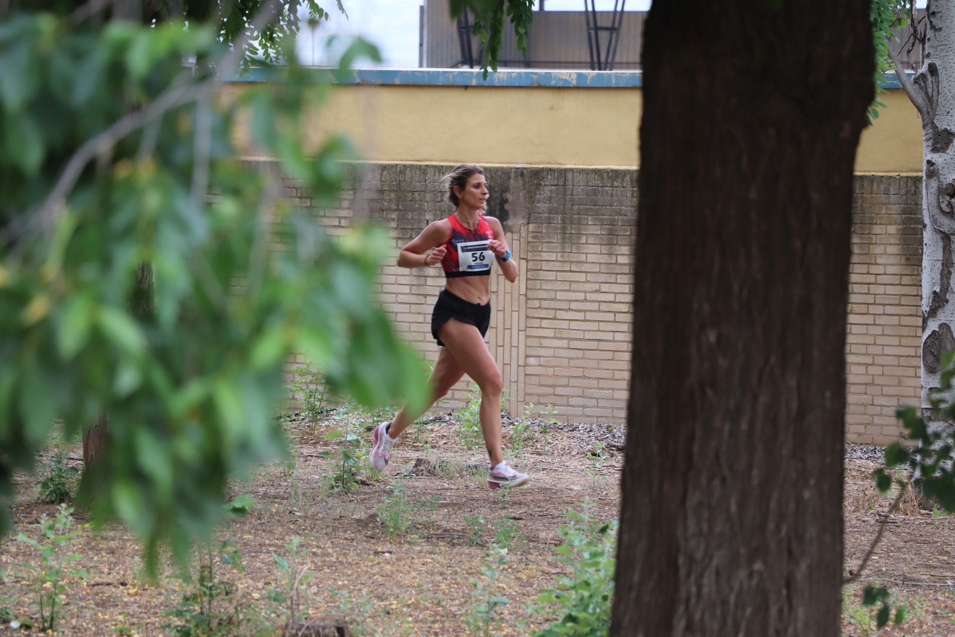 Las imágenes del Cross Ciudad de Alfaro