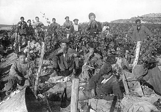 Cuadrillla almorzando uvas y vino en vendimia.