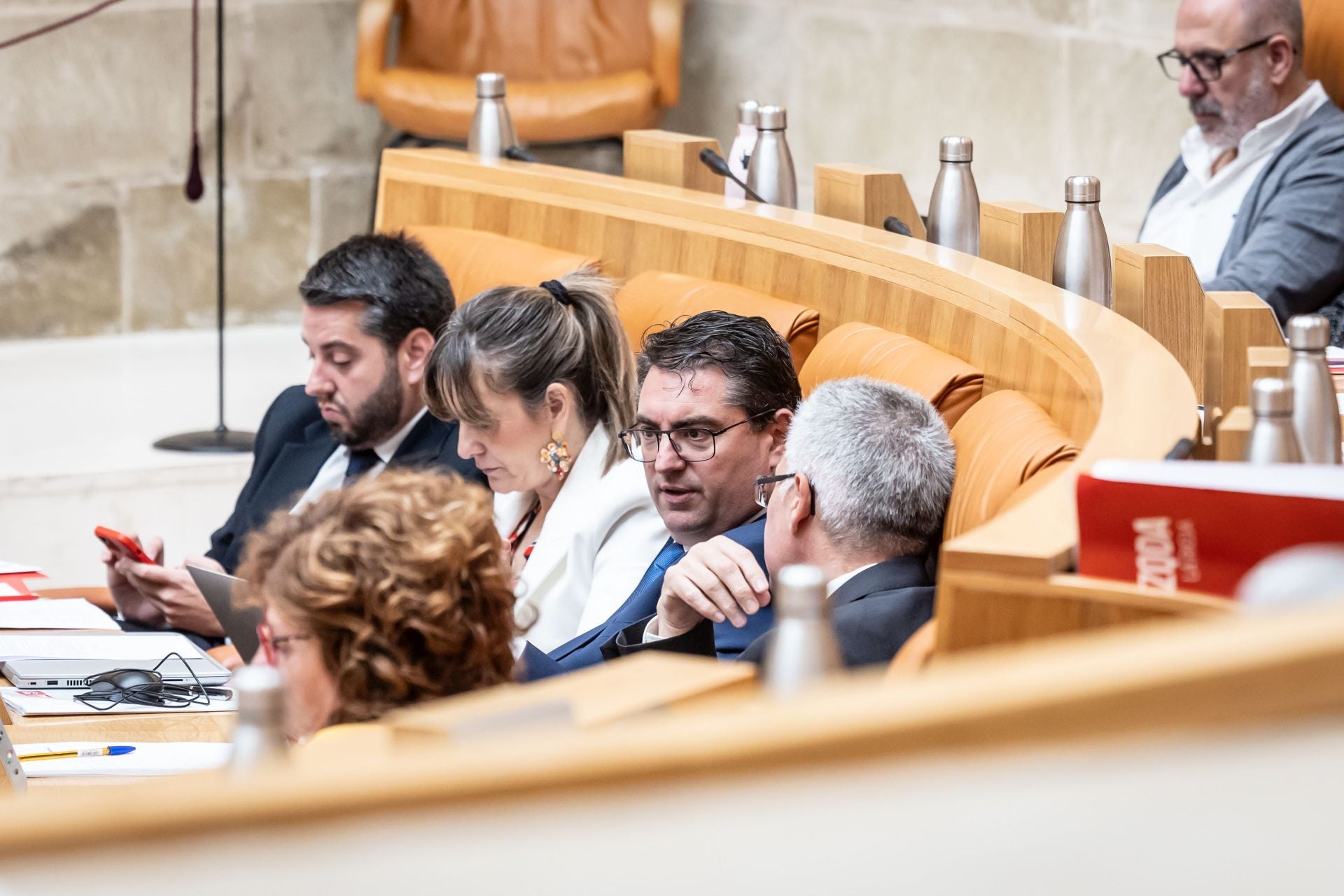 La sesión del Parlamento de La Rioja