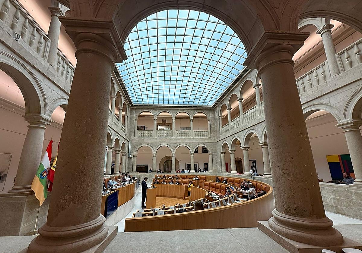 Pleno del Parlamento de La Rioja, en su sesión de este miércoles