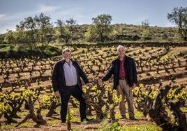 Sancha y Martínez de Toda, en el viñedo centenario de Valdeponzos, en Badarán, apenas una hectárea de garnacha tinta de donde sale el vino Peña El Gato.