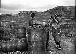 Archivo López de Heredia / Viña Tondonia. Prohibida su reproducción sin mencionar