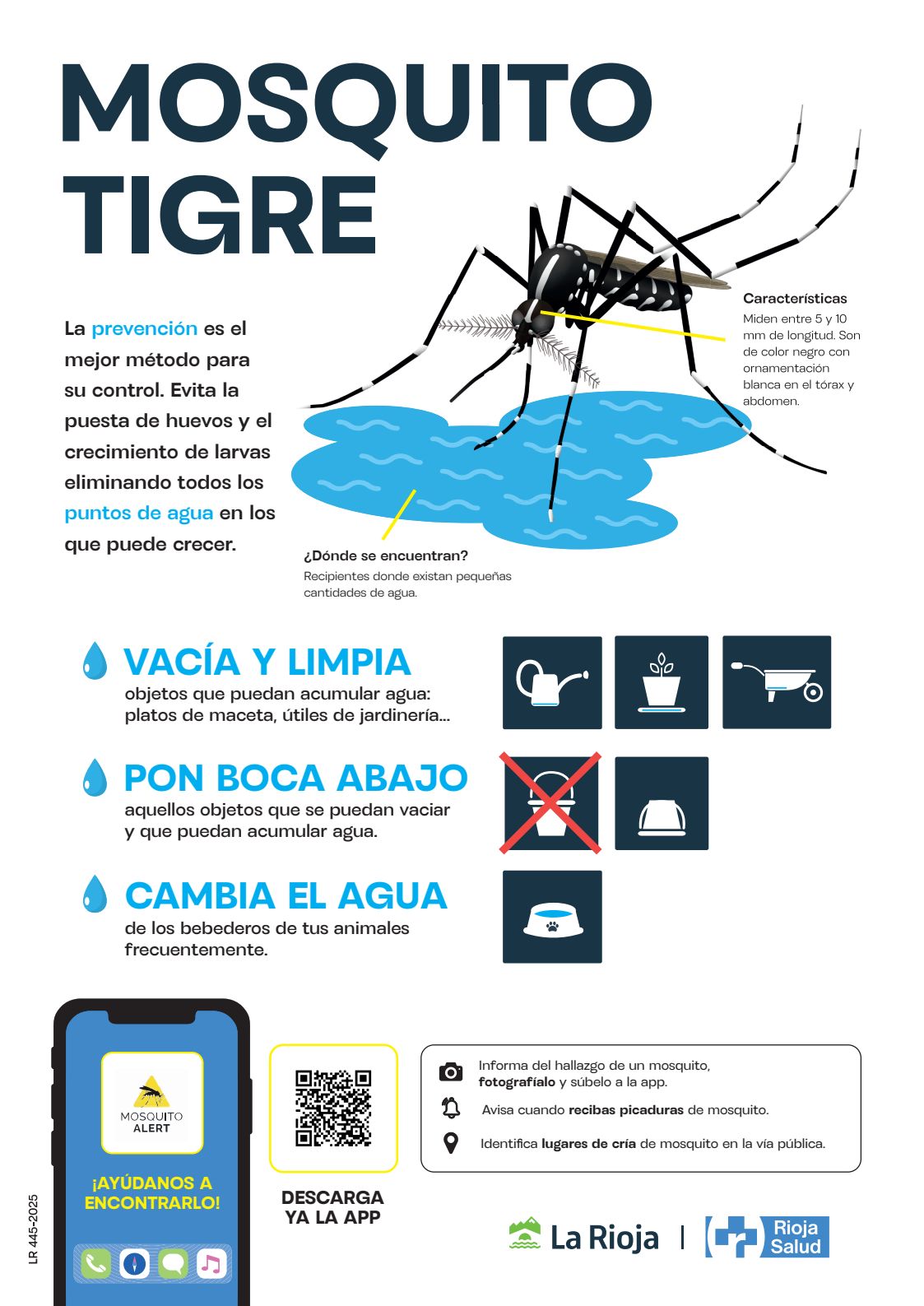 Imagen - 