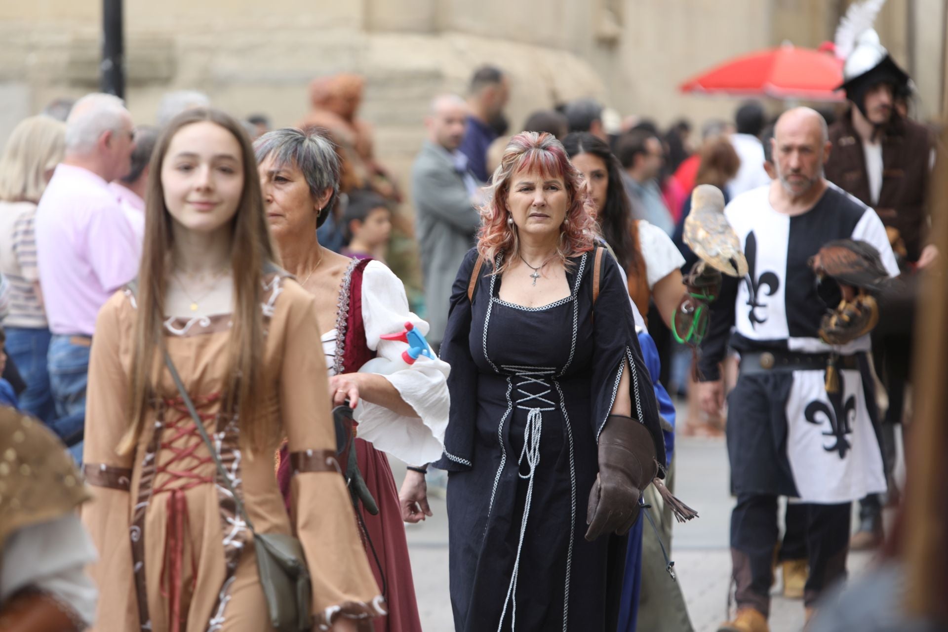 La recreación de la defensa de Logroño