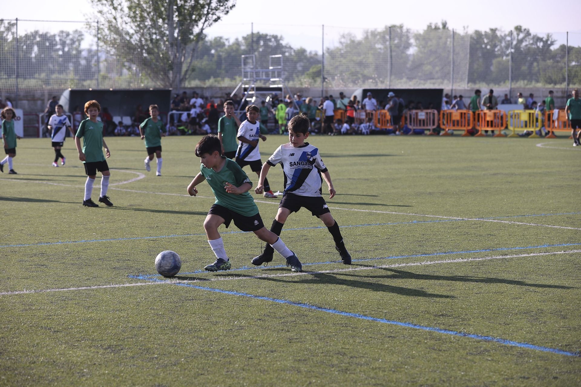 Torneo Internacional San Bernabé 2025