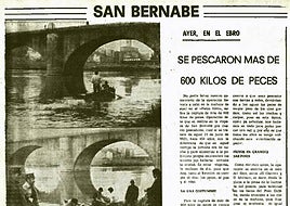 Cuando el pez venía del Ebro