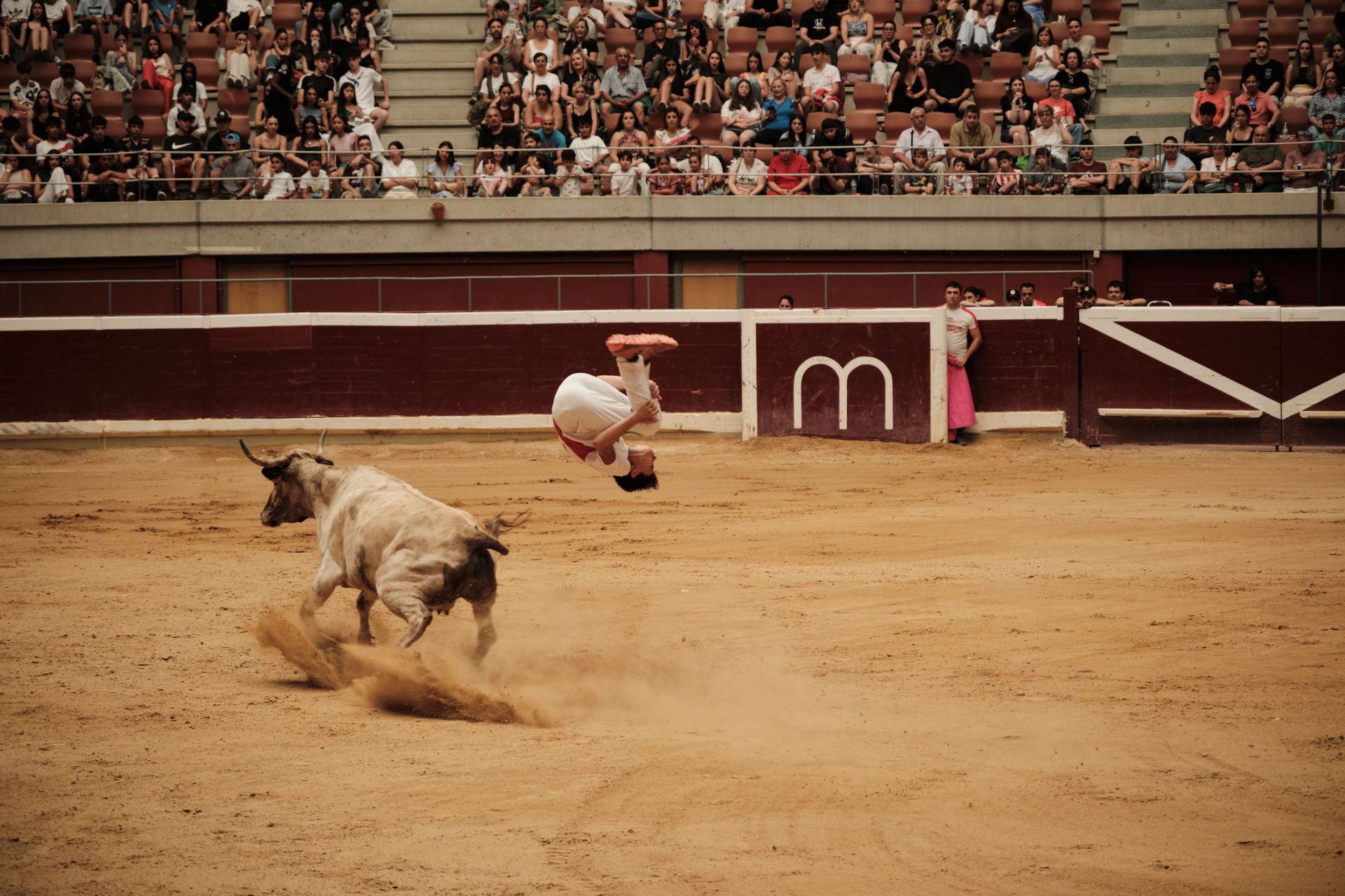 Festejo taurino en cumplimiento del voto de San Bernabé