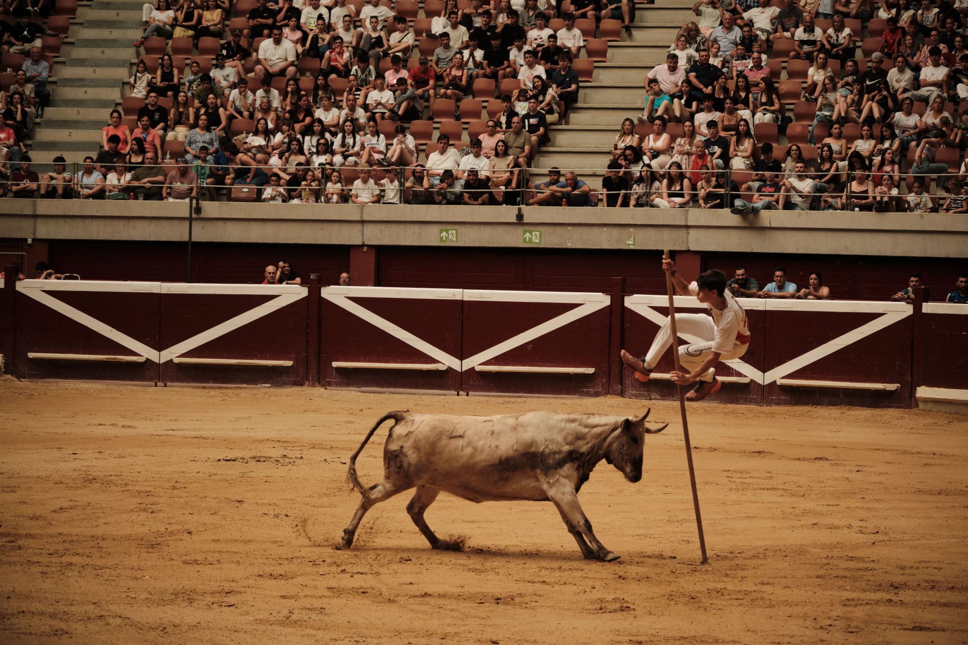 Festejo taurino en cumplimiento del voto de San Bernabé