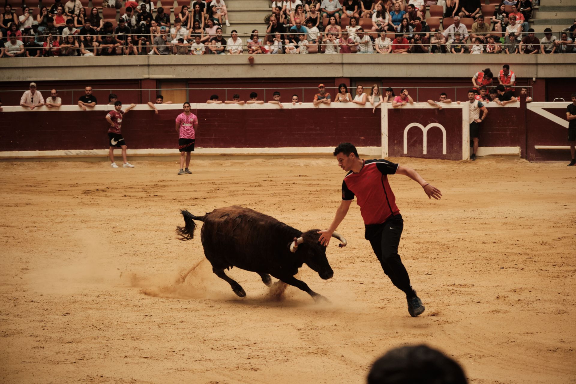 Festejo taurino en cumplimiento del voto de San Bernabé
