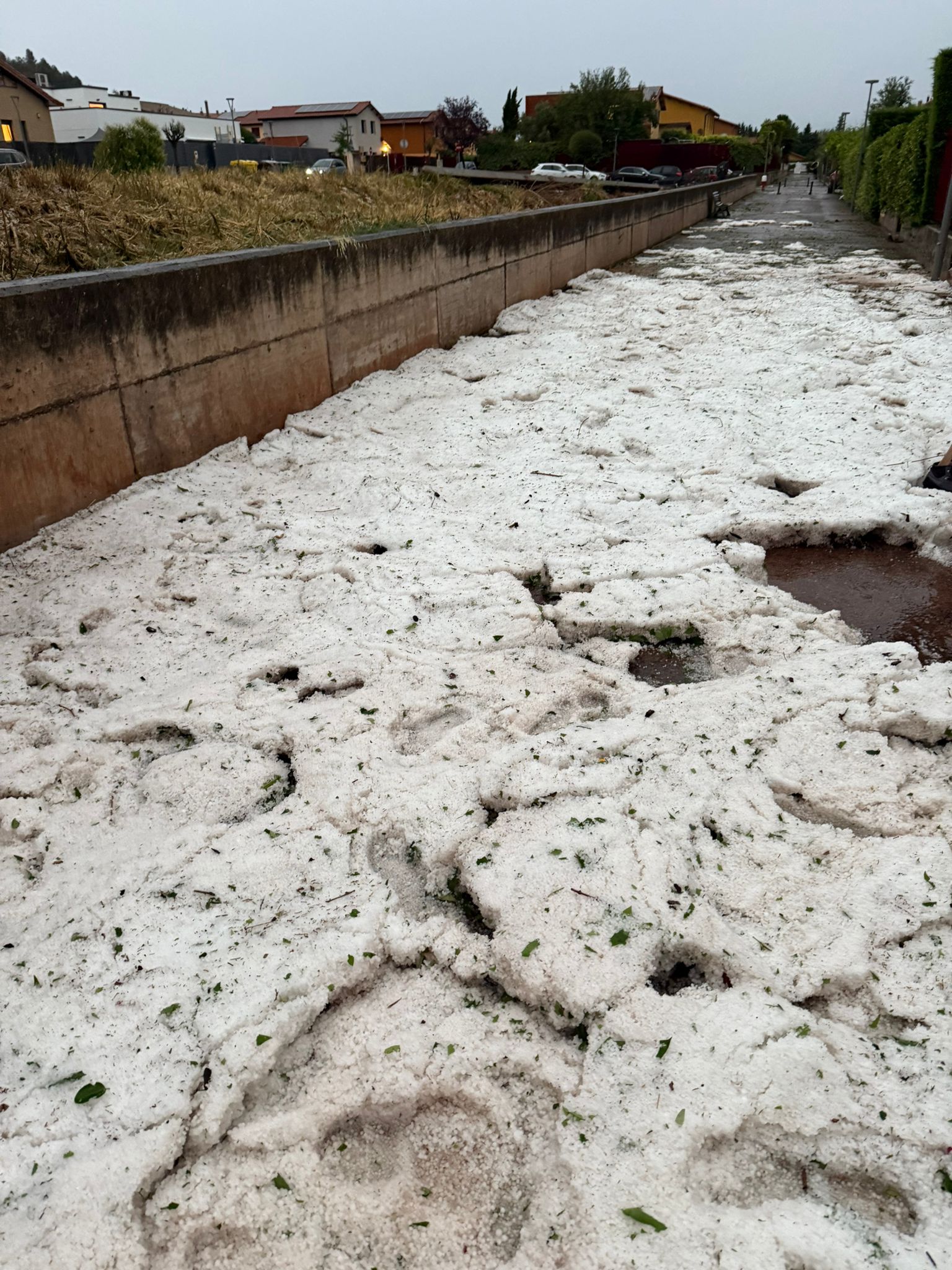 Las imágenes de la tormenta en Navarrete