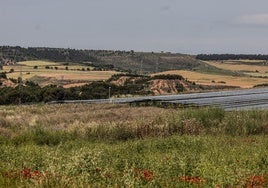 Vista panorámica con el paraje Corral de Marrones al fondo y en primer término otro parque solar.