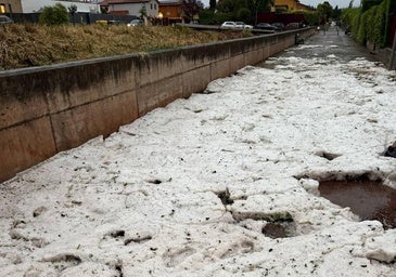 Navarrete comienza a evaluar los daños tras una granizada «sin precedentes»