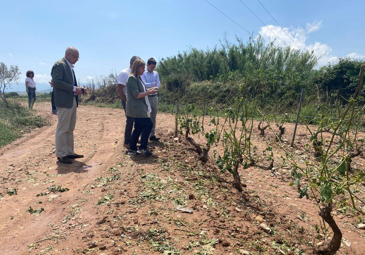 Visista de Noemí Manzanos y Daniel Osés a la zona afectada por la tormenta del miércoles.