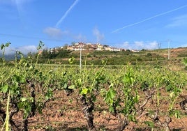 «La zona cero está en Moncalvillo, es un desastre»