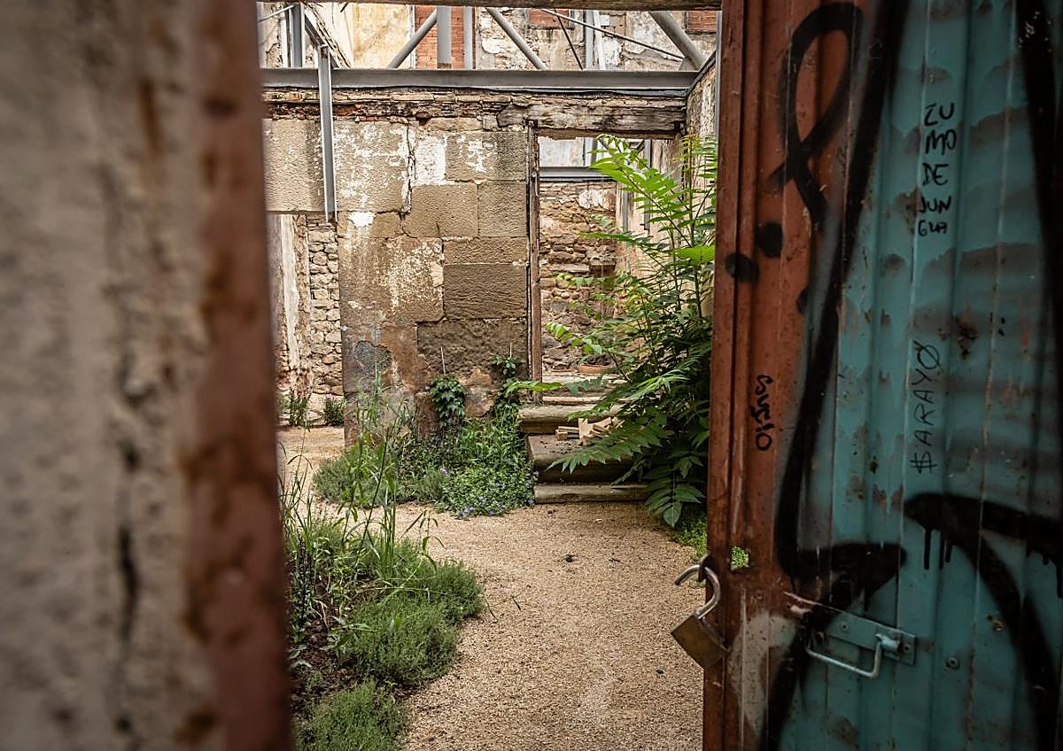 Imagen secundaria 1 - Jardines secretos en las entrañas de Concéntrico