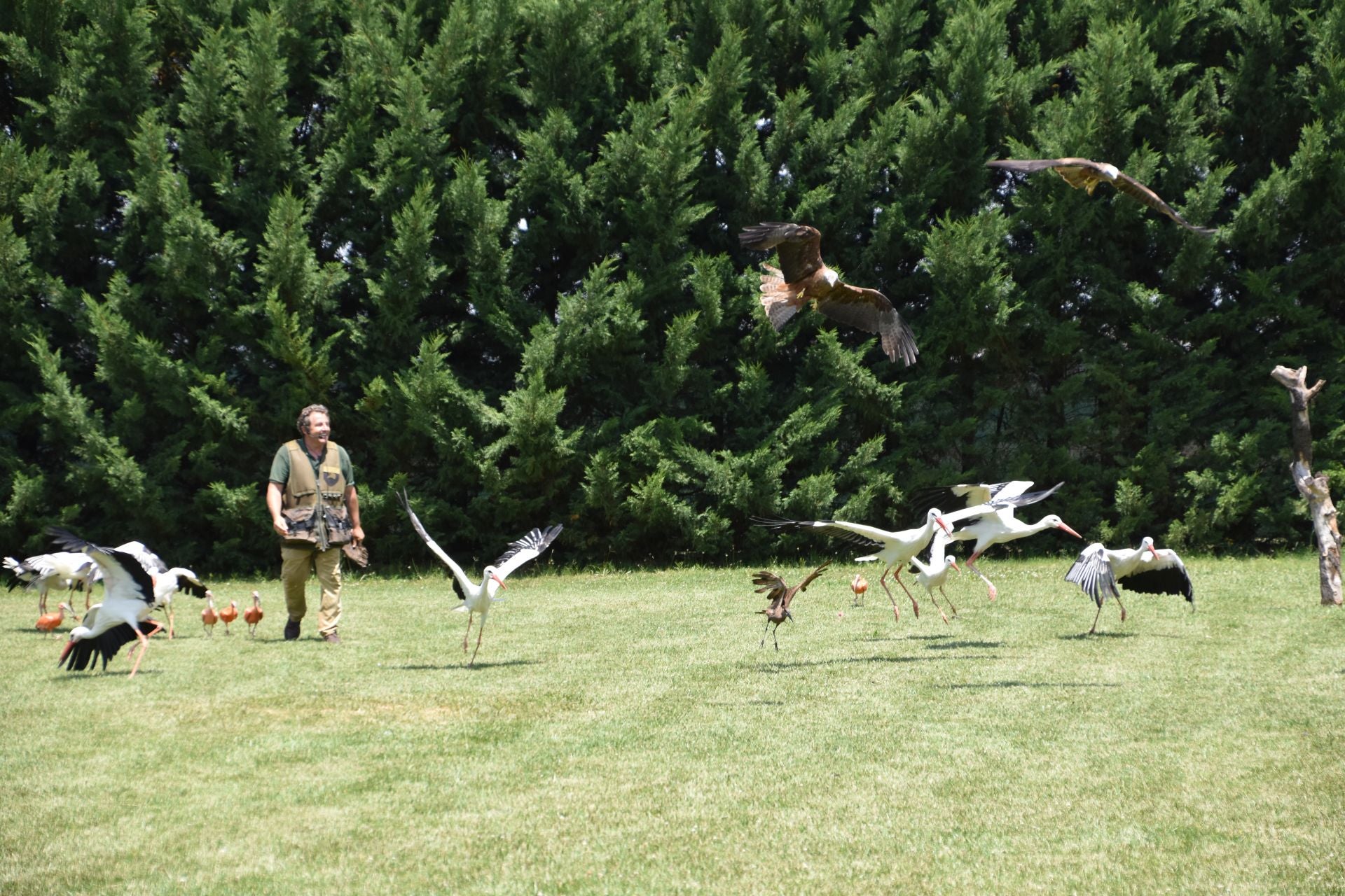 La segunda edición de &#039;Águilas de Roma&#039;, en imágenes