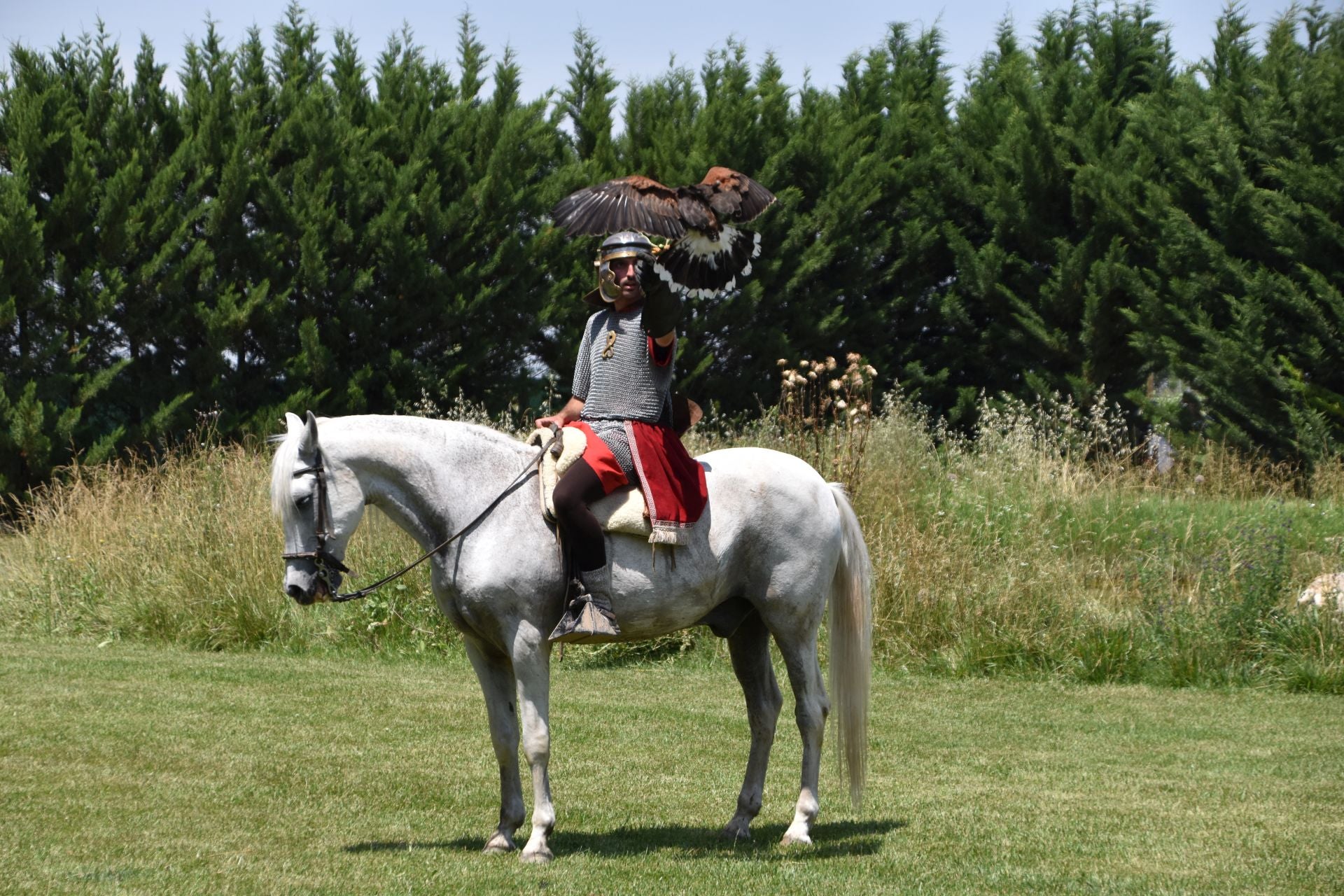 La segunda edición de &#039;Águilas de Roma&#039;, en imágenes