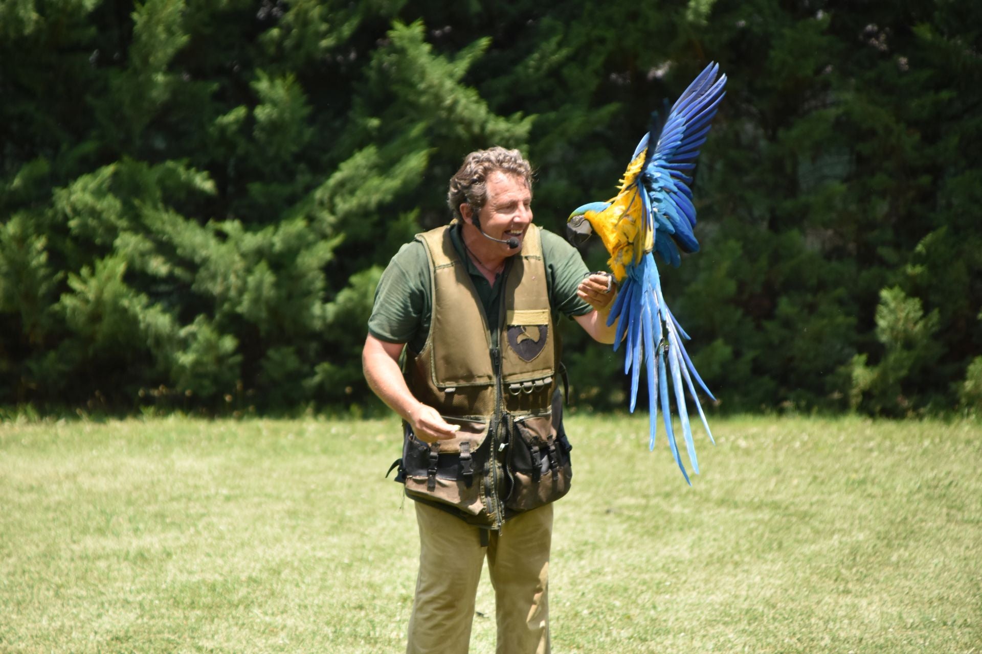 La segunda edición de &#039;Águilas de Roma&#039;, en imágenes