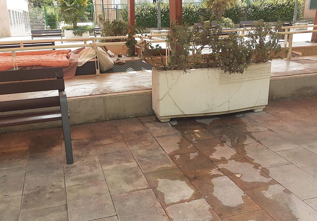 El Teléfono del Lector