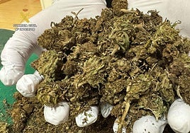 Intervenidos 209 gramos de marihuana tras una pelea en Arnedillo: «Me había robado cuatro porros»
