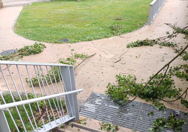Alguna pequeña rama caída a causa del viento en Torrecilla.