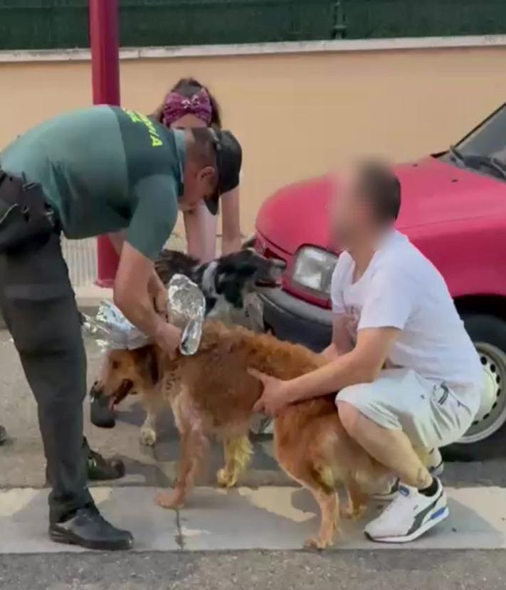 Imagen secundaria 2 - Localizada en buen estado la mujer desaparecida en Haro