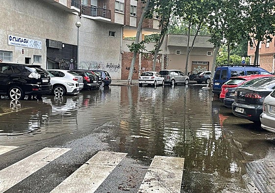 La hora del baño de Las Norias, el tráfico, suciedad... en el Teléfono del Lector de hoy