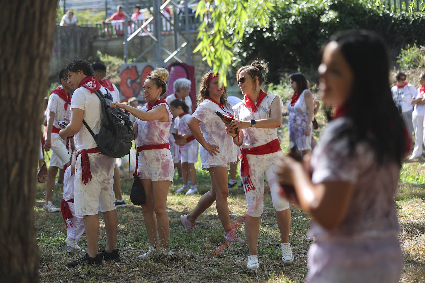 Las imágenes de la Batalla del Vino Infantil de Haro