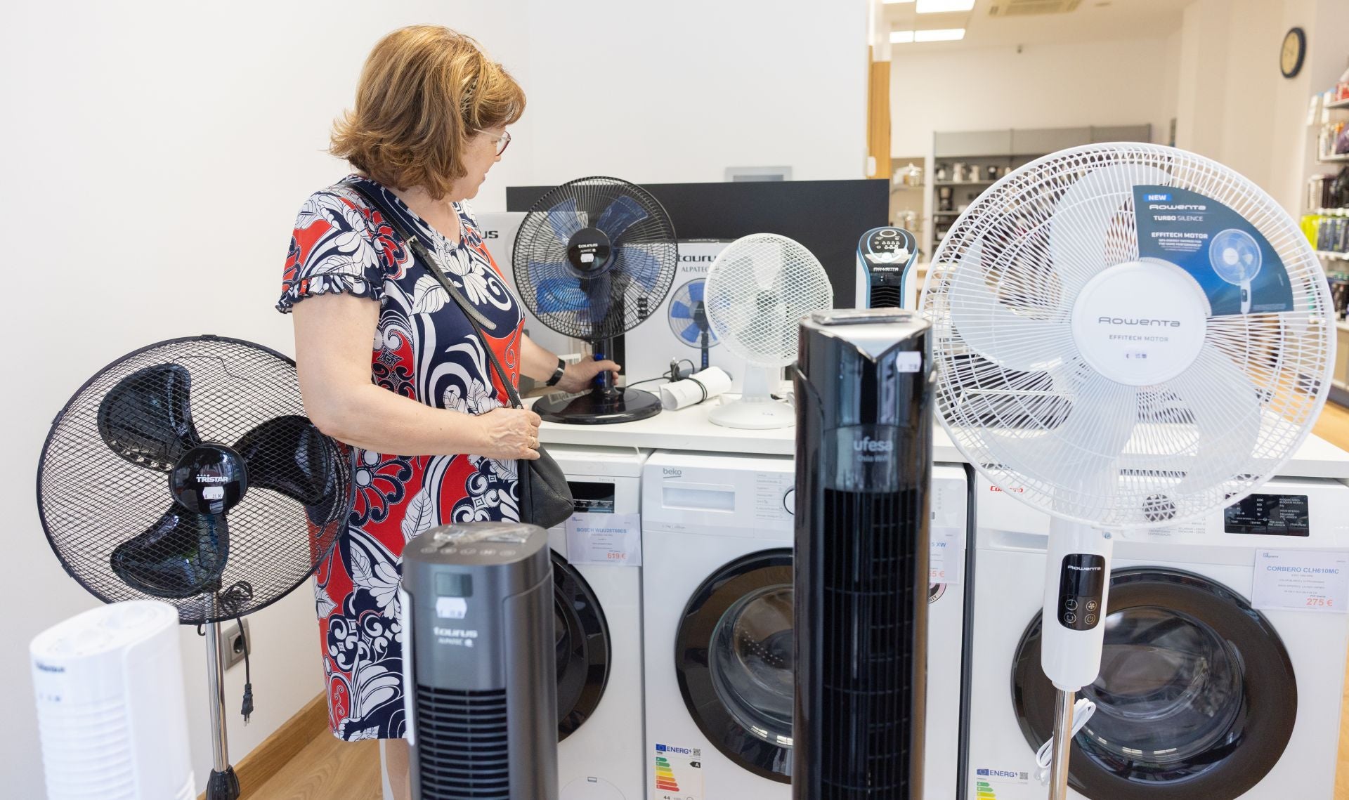 Una clienta observa los ventiladores de la tienda de Electricidad Guerra de Logroño.
