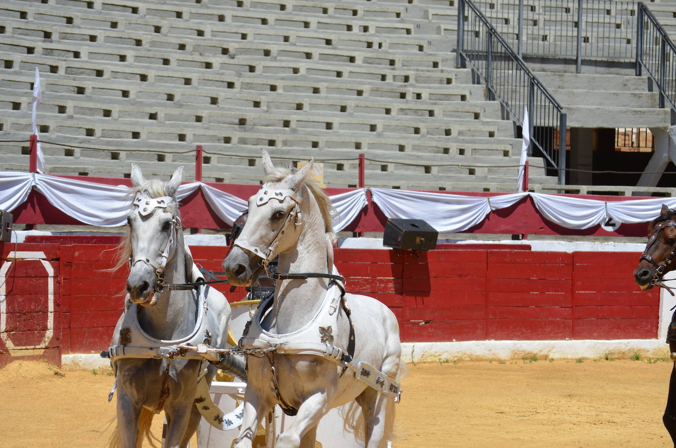 Las imágenes de los gladiadores, bailarinas y carreras de cuadrigas