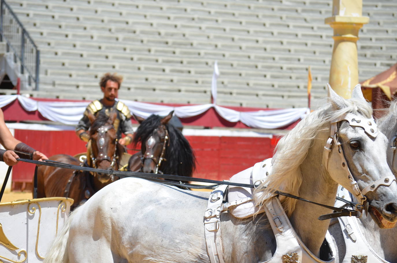 Las imágenes de los gladiadores, bailarinas y carreras de cuadrigas