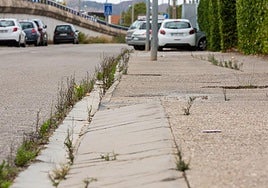 La calle Serón del polígono industrial de La Portalada en una imagen de archivo.
