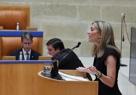 Cristina Maiso, durante su intervención en el Parlamento.